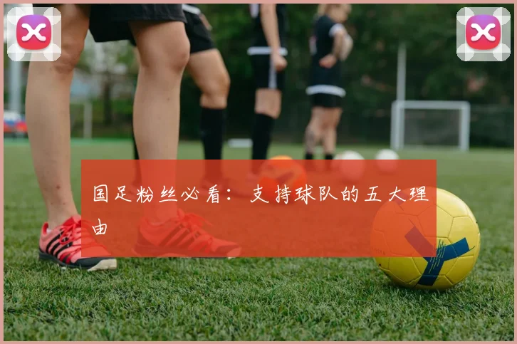 国足粉丝必看:支持球队的五大理由