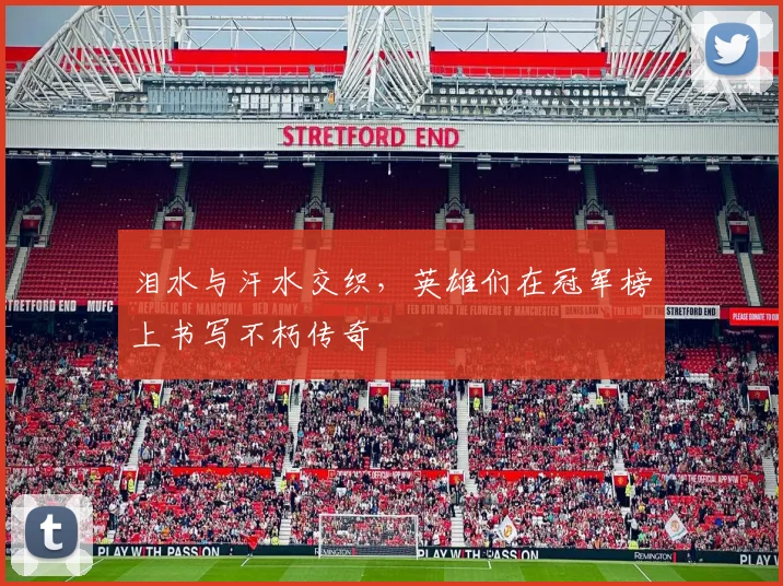 泪水与汗水交织，英雄们在冠军榜上书写不朽传奇